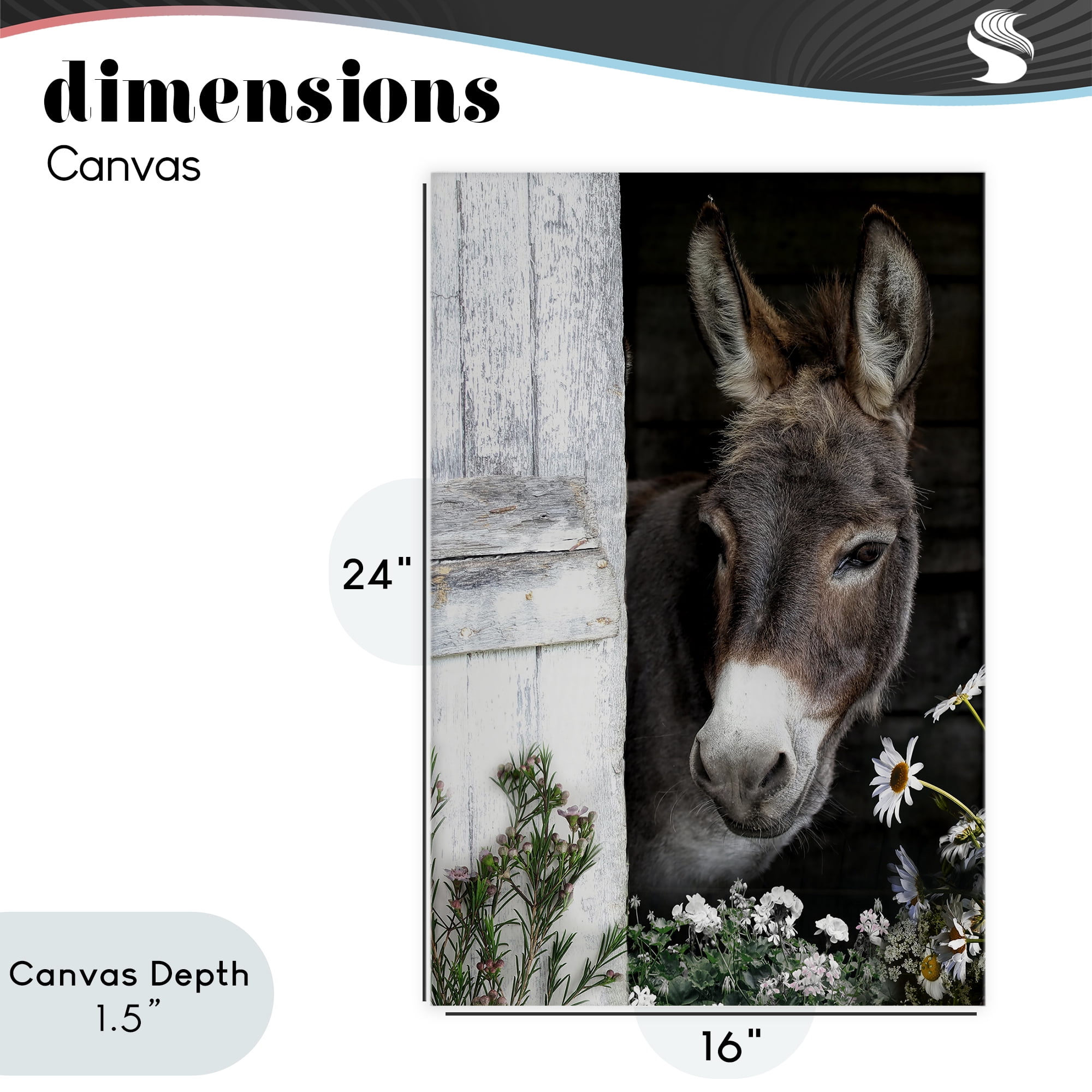 Stupell Industries Gentle Donkey Peering from Barn Canvas Wall Art, design by CAD Designs