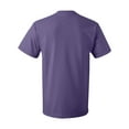 thumbnail image 3 of Fruit of the Loom HD Cotton T-Shirt for Men and for Women Short Sleeve Classic, 3 of 5