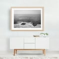 thumbnail image 6 of Sea Lions in La Jolla 02 B&W - La Jolla California Photography Black and White Ocean Coast Beach Nature Waves Minimalist Unframed Wall Art Print 20 x 28 inches, 6 of 7