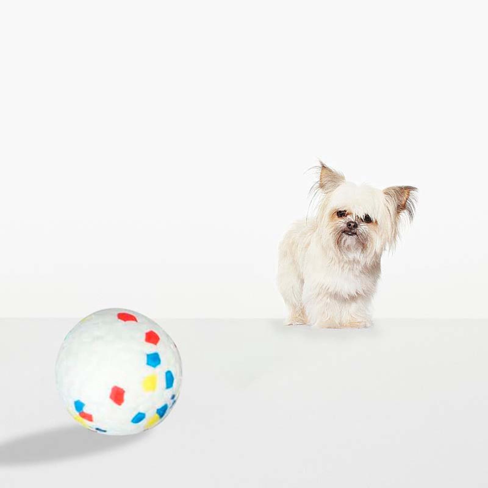 Automatic Dog Ball Launcher - Interactive Tennis Ball Thrower for Medium/Large Dogs, 10-30 ft Distance, Rechargeable Fetch Machine with 3 Balls - Mental Stimulation Toy