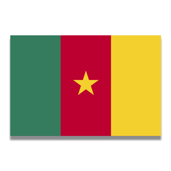 Magnet Me Up Cameroon Cameroonian Flag Vinyl Automotive Magnet Decal, 4x6 Inches