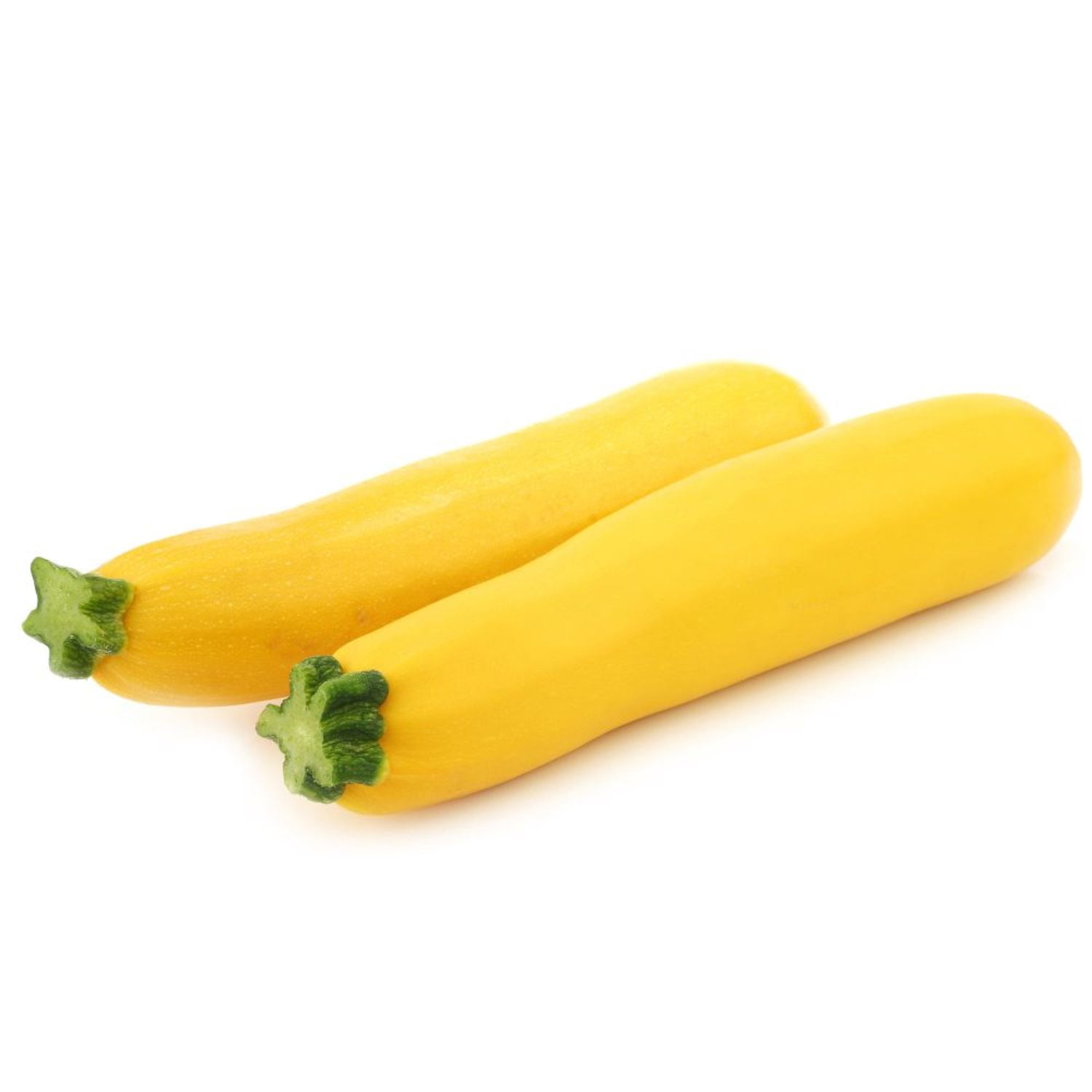 Proven Winners 4"   Gold Rush Zucchini Live Plant in 4.25" Pot (4 Count)