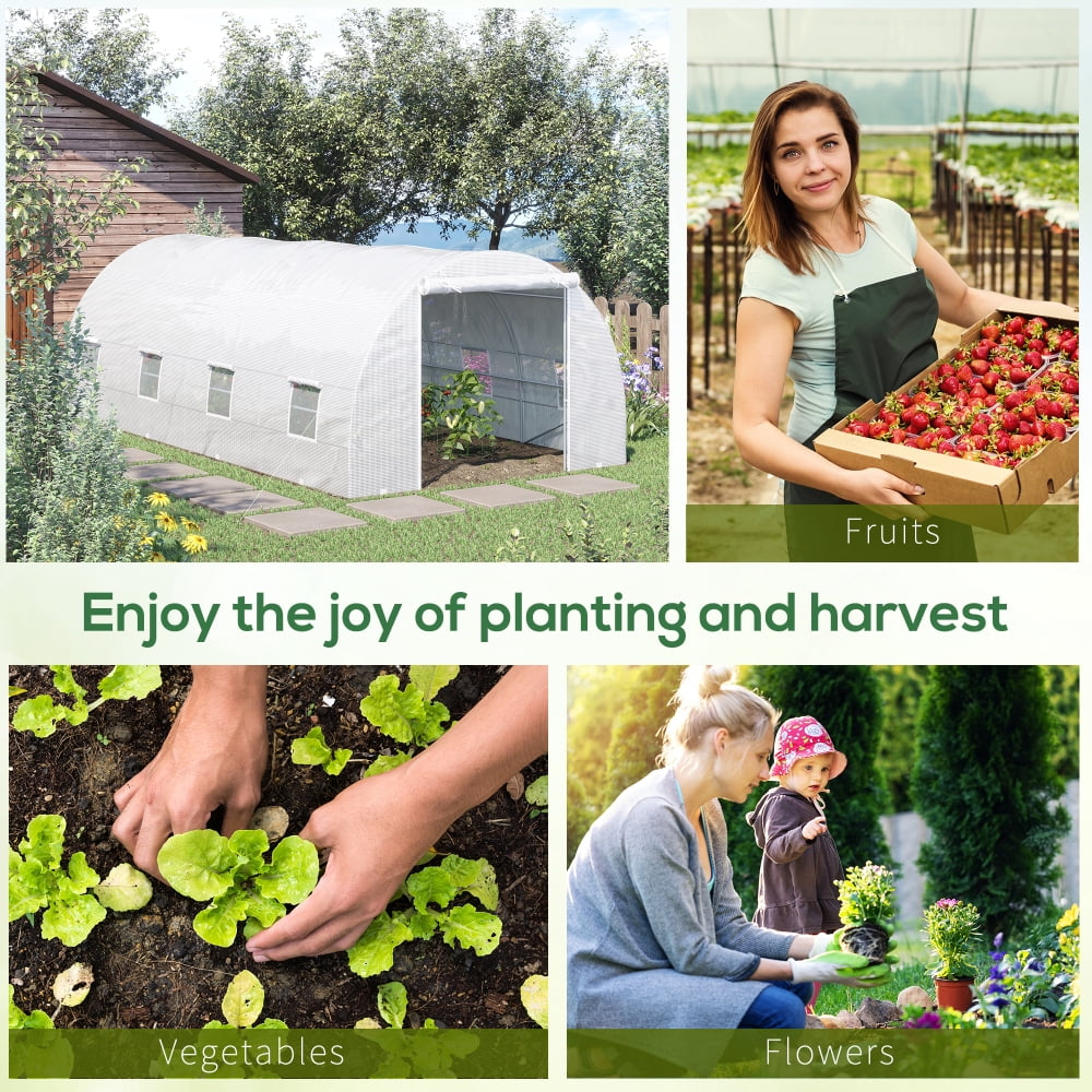 20x10 FT Walk-In Tunnel Greenhouse, 8 Roll-Up Windows & Door with Durable Steel Frame Hot House Kit