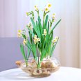 thumbnail image 2 of HINTRMENT 1Pcs Clear Container for Fish Transparent Aquarium for Home Purification 24.20X24.20X10.00in, 2 of 5