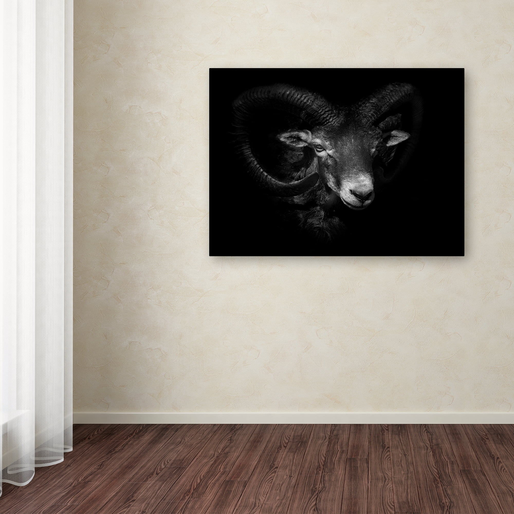Ferdinando Valverde 'Between Horns' Canvas Art