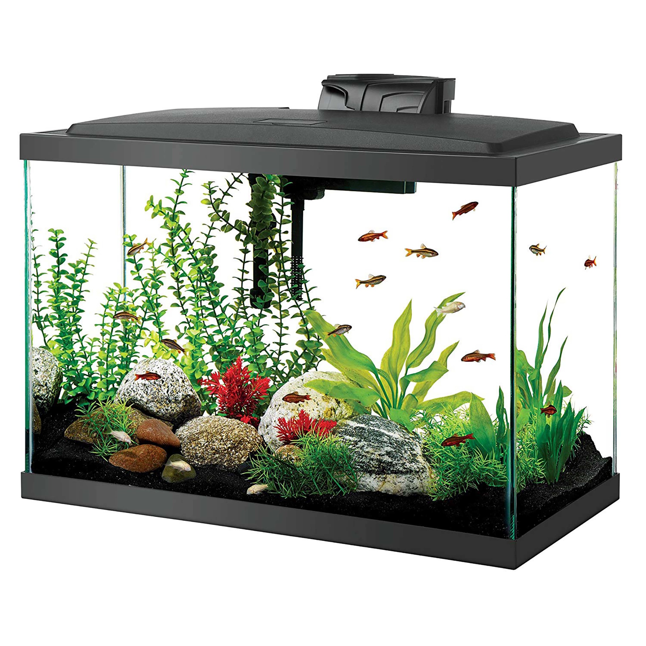 Aqueon 20 High Aquarium Starter Kit with LED Lighting