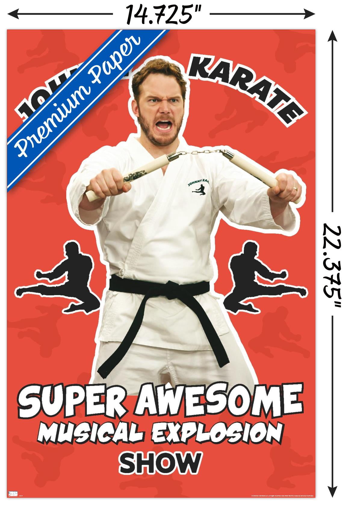 Parks and Recreation - Johnny Karate Wall Poster, 14.725" x 22.375"
