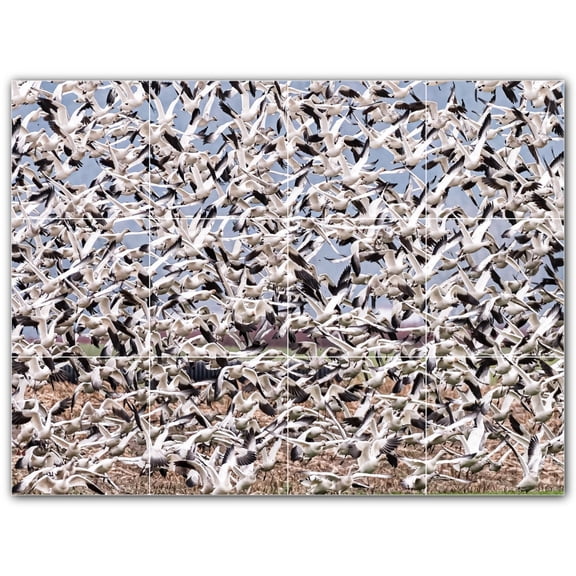 Picture-Tiles.com: Bird Ceramic Tile Wall Mural WAL500206-43L. 32"W x 24"H using (12) 8" x 8" Ceramic Tiles-Satin Finish