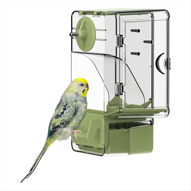 Comedero Automático para Pájaros, Comedero Tipo Jaula con Percha, Soporte Multifuncional para Frutas y Verduras para Periquitos.