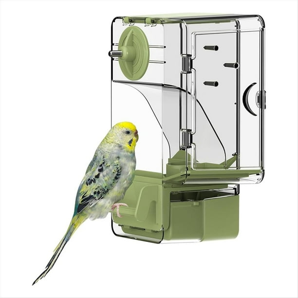 Comedero Automático para Pájaros, Comedero Tipo Jaula con Percha, Soporte Multifuncional para Frutas y Verduras para Periquitos.