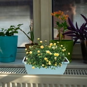 4-Pack Large Rectangular Indoor Plant Pots for Vegetable Growing, Garden for Home and Patio