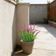thumbnail image 4 of A Artificial Bostons Ferns UVs Resistants Fade Resistants Plastic Greenerys For Indoor Outdoor Hanging Pots Porch Patio Home Office Decor, 4 of 6
