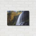 thumbnail image 3 of Luxe Metal Art 'Silver Falls' by Everlook Photography, Metal Wall Art, 24"x16", 3 of 8