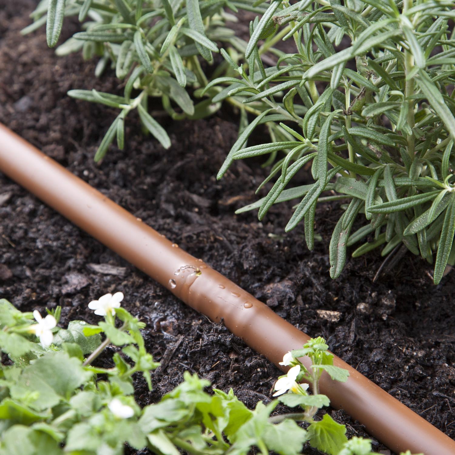 Raindrip 32-Plant Garden Drip Irrigation Watering Kit R290DP