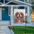 thumbnail image 7 of SKYSONIC Garden Flag Beautiful Spaniel Dog on White Double-Sided Printed Garden House Sports Flag 12x18in Polyester Decorative Flags for Courtyard Garden Flowerpot, 7 of 7
