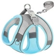 thumbnail image 2 of No Pull Dog Harness and Leash set No Choke Reflective Pet Vest Adjustable Breathable Mesh Harnesses for Small Dogs Cats Walking, 2 of 6
