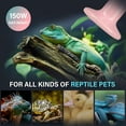thumbnail image 6 of Simple Deluxe Reptile Heat Lamp 150W Ceramic Heat Emitter Heating Bulb, Brooder Heater for Terrarium Amphibian, 6 of 7