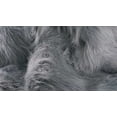 thumbnail image 2 of HomeRoots 317176 5 x 8 in. Sheepskin Rug & Throw - Gray, 2 of 3