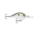thumbnail image 2 of Rapala DT Series Crankbait DT14, 2 of 4