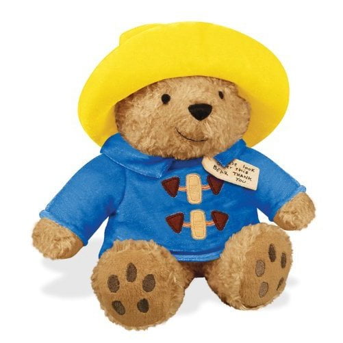 paddington teddy