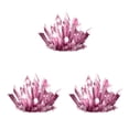 thumbnail image 4 of Guardoinrt Interactive Crystal Growing Experiment Science Kit for Kids Conduct Crystals Red 175x125x60mm 3Set, 4 of 6