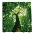 thumbnail image 3 of Ambesonne Nature Shower Curtain, Leaves Tree Branches, 69"Wx70"L, Green Pale Green Brown, 3 of 5