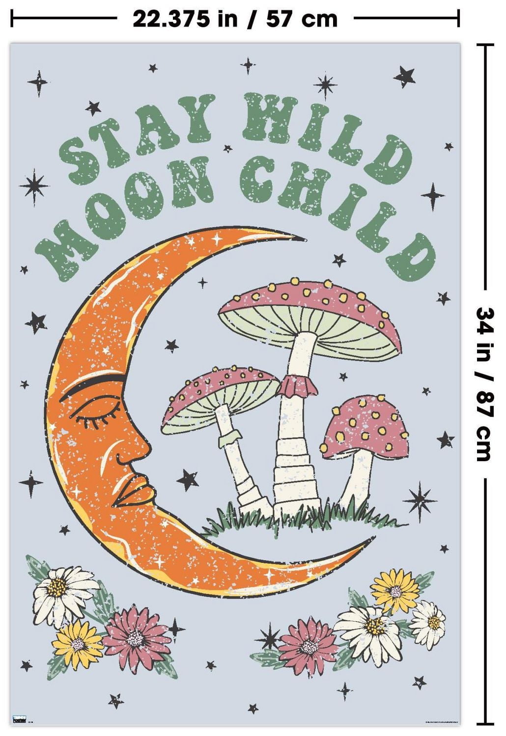 DC Comics Movie Wonder Woman 1984 - Flight Wall Poster, 22.375" x 34"