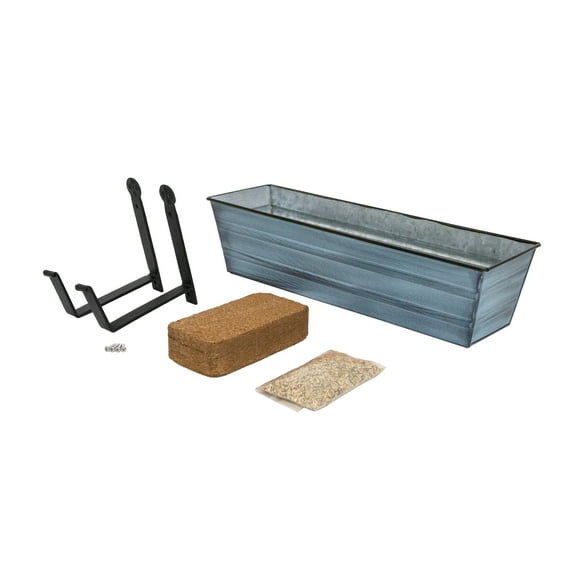 Bloom Box Garden Growing Kit, Small Blue with Wall Brackets,