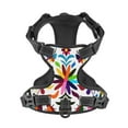 thumbnail image 4 of Daiia Mexican Bright Styledog Harness, No-Pull Pet Harnessith 2 Leash Clips,Cat Harness And Leash Set,Step In Dog Harness, For Large Dogs, 4 of 9