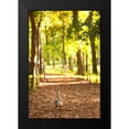 thumbnail image 2 of Millet, Karyn 11x14 Black Modern Framed Museum Art Print Titled - Duck Walk, 2 of 5