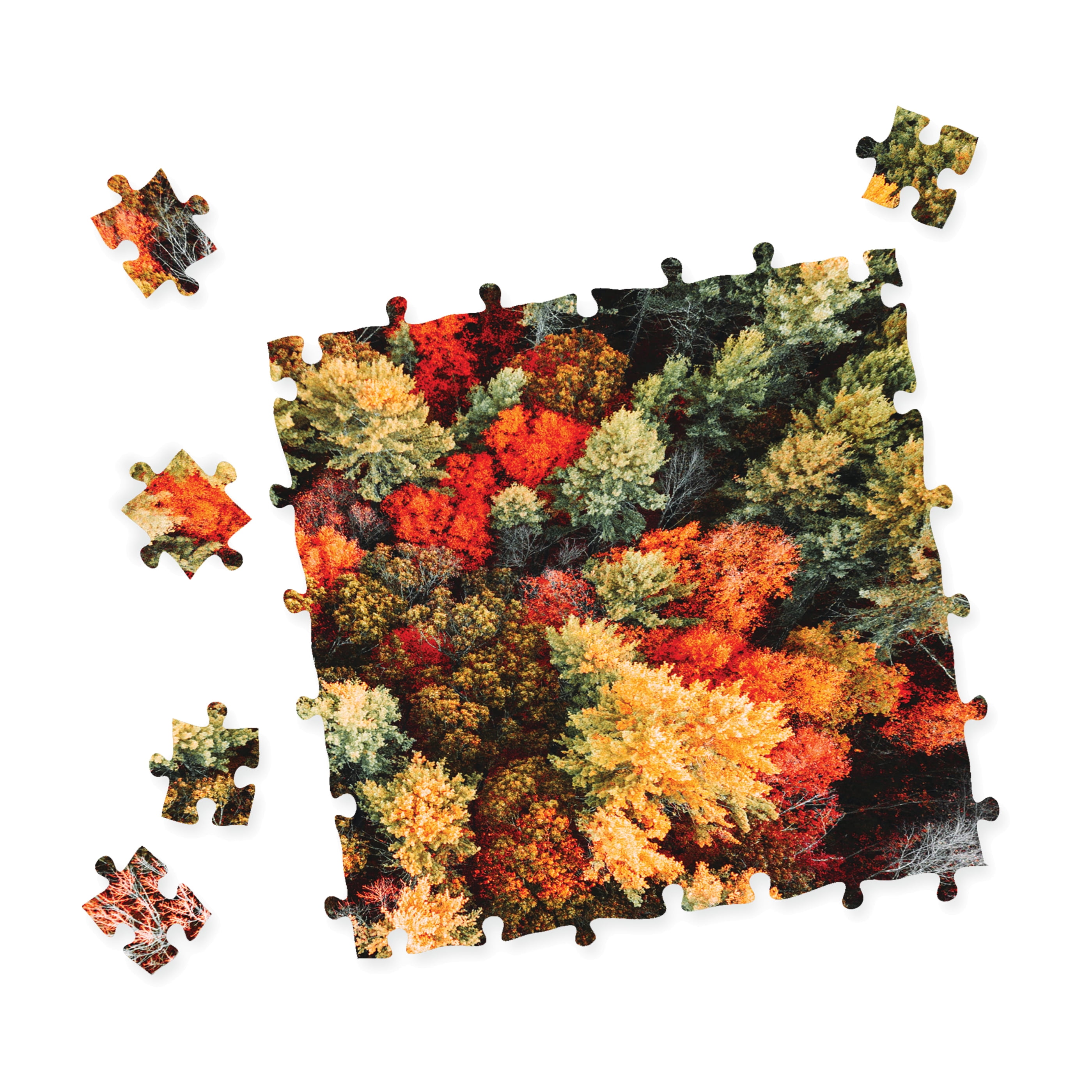 BePuzzled Impossibles Puzzle - Falling for Fall: 1000 Pcs