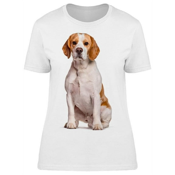 A Sitting Beagle Dog. T-Shirt Women -Image by Shutterstock, Female Medium