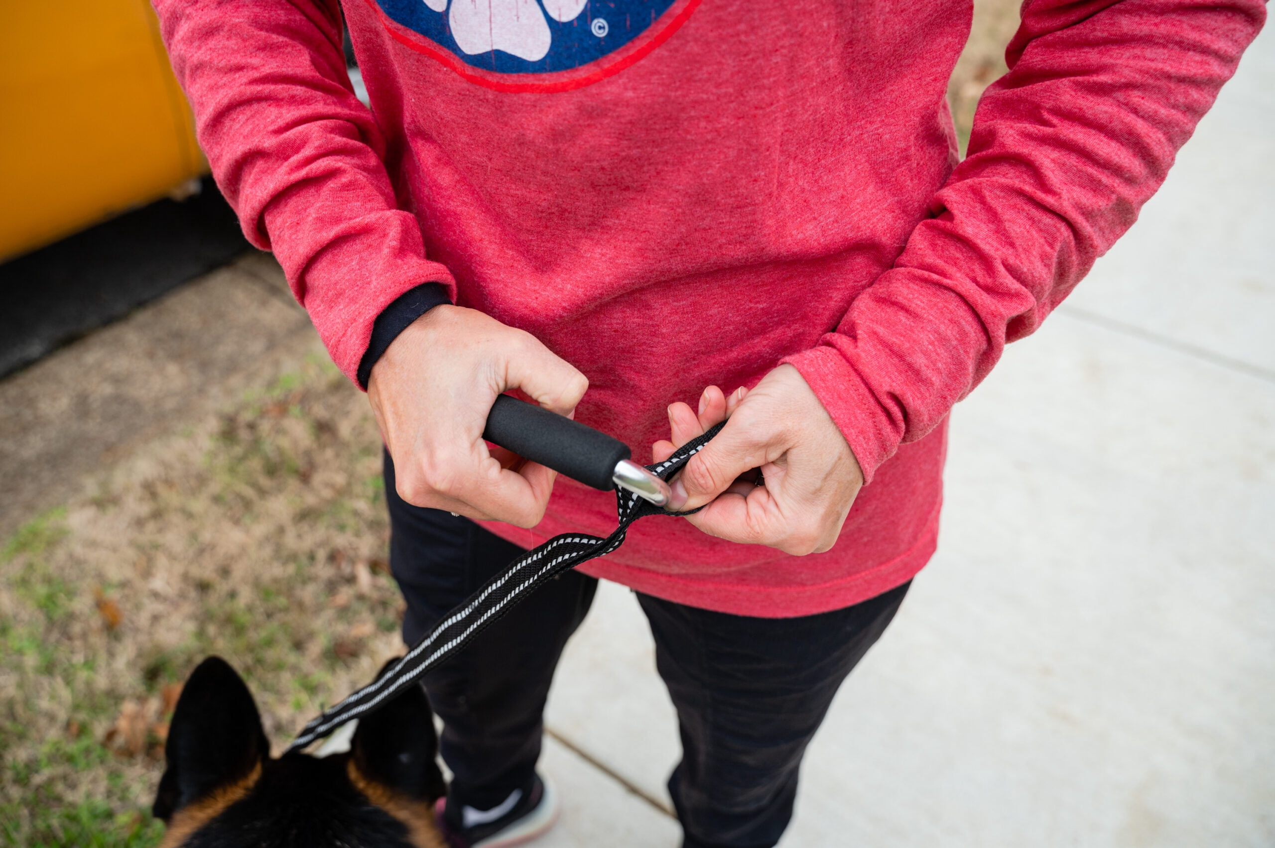 Waist Belt/Hands-Free Leash