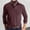 Brick Red, variant on Long Sleeve Polo Shirts for Men Spring Fall Casual Collared Lightweight Golf Shirts Plain Work Shirt