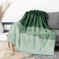 thumbnail image 1 of Manta PAVILIA Fluffy Sherpa Ombre 150 x 200 cm, color verde, 1 of 8