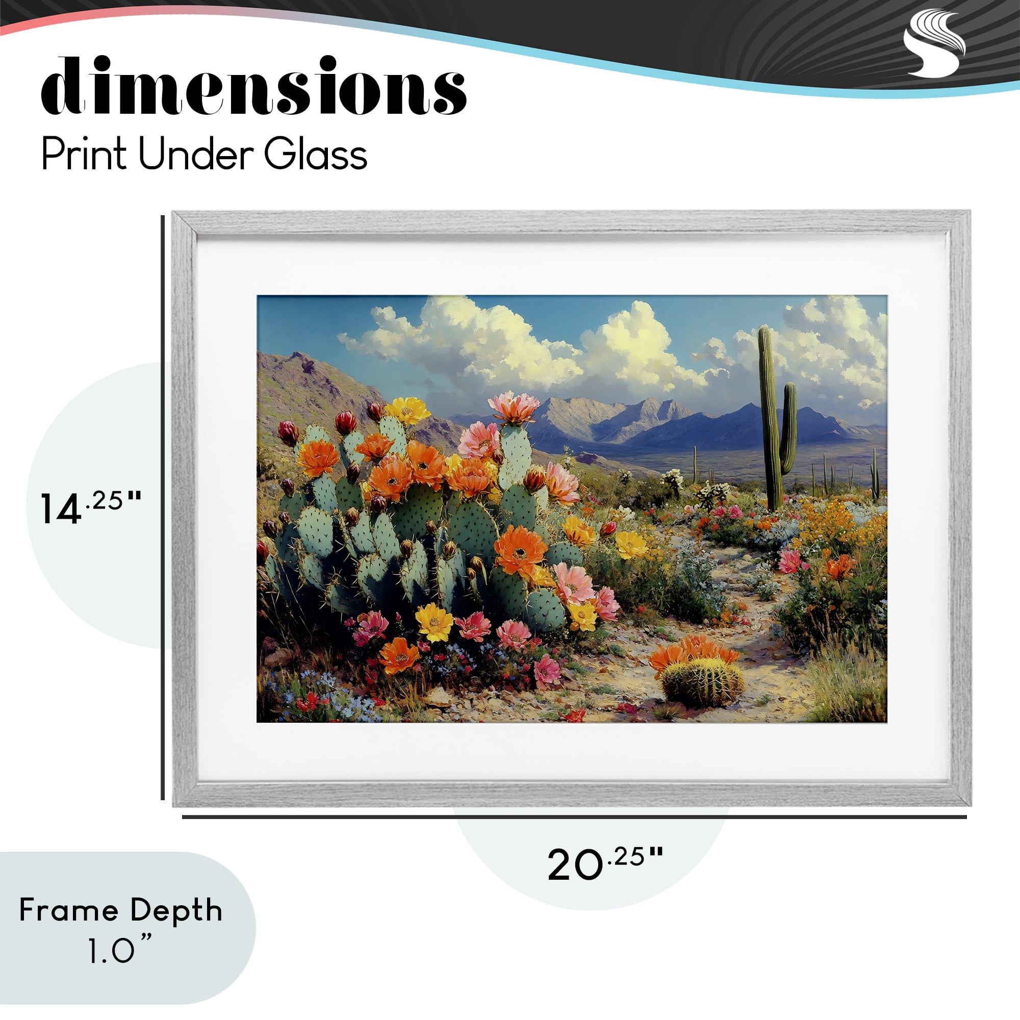 Stupell Industries Vibrant Cacti in Desert Gray Framed Print Under Glass, design by Franklyn Gregory