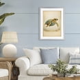 thumbnail image 3 of Stupell Industries Eclectic Maritime Bathing Society Turtle Gray Framed Print Under Glass, 17 x 23, by Grotto Studios, 3 of 8