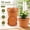 Terracotta, variant on Large Indoor Outdoor Planter Pots, 16 Inch 4 Pack Plastic Flower Pots with Drainage Holes and Saucer, Modern Decorative Garden Planters for Medium Large Plants
