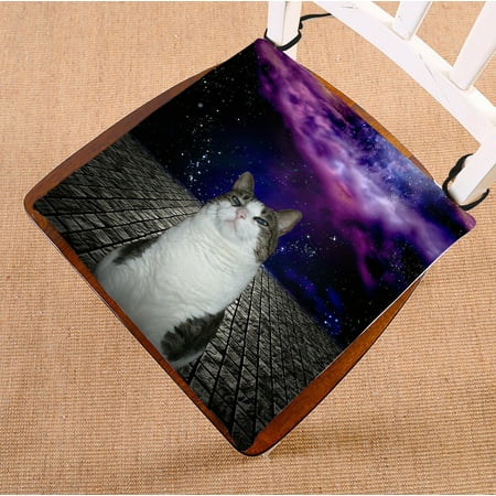 

PHFZK Comos Background Chair Pad Proud Cat with Universe galaxy Space Bule Purple Seat Cushion Chair Cushion Floor Cushion Two Sides Size 16x16 inches