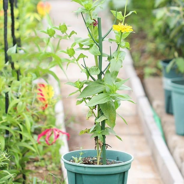 unbranded 5Jgo Para Plantas Trepadoras Interior Y Exterior Color Con Estructura Resistente