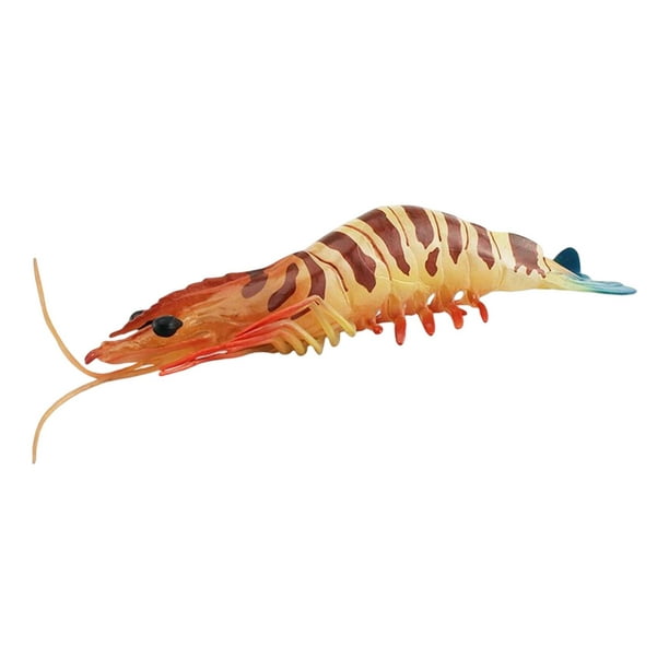 prawn Model Party Favors Science Educational Toy prawn Action