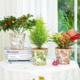 thumbnail image 2 of Vintage Ceramic Planter Set of 3 - Decorative Indoor Outdoor Flower Pots with Drainage Holes - Tuscan Decor Pots 5.5 Ice Crackle Glaze Planters for Home Kitchen Patio and Garden, 2 of 8