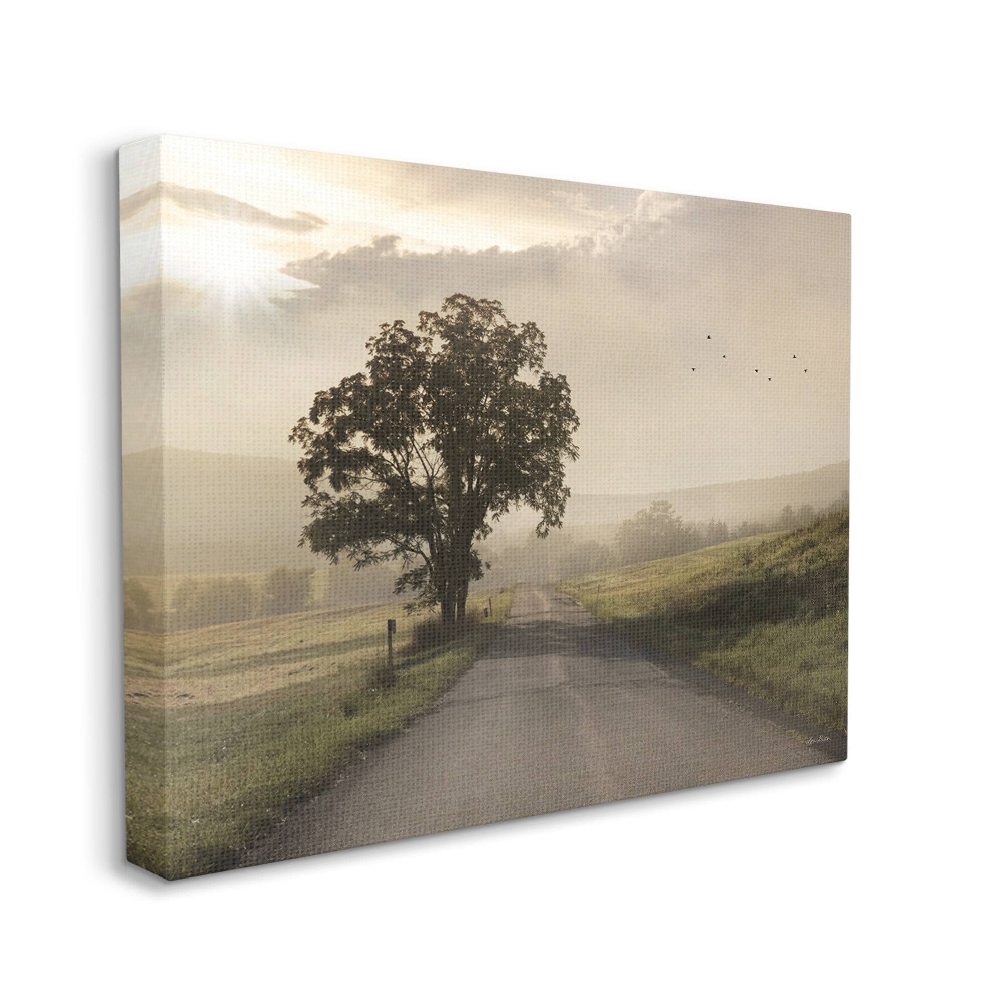 Stupell Industries Lone Tree Quiet Morning Road Rural Landscape Photograph Gallery Wrapped Canvas Print Wall Art, Design by Lori Deiter