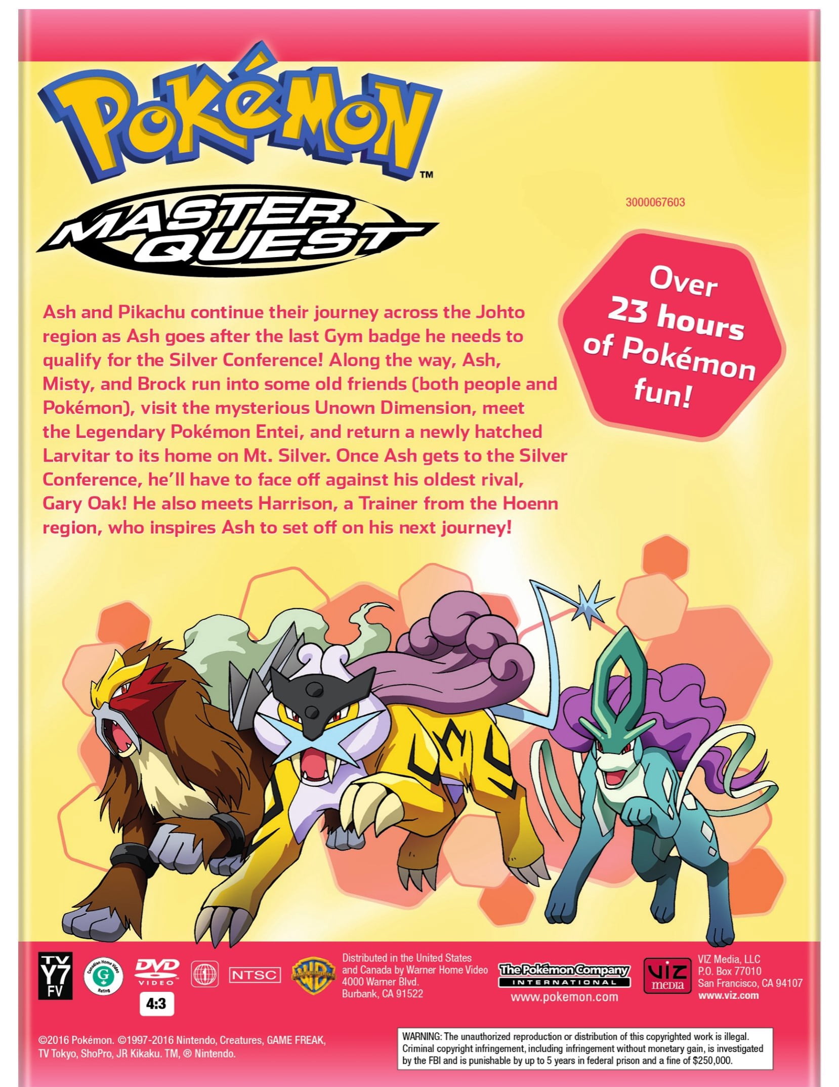 Pokemon: Master Quest Complete Collection (DVD), Kids & Family, Viz Media