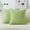 Apple Green, variant on Set of 2 Corduroy Spring Pillow Covers Sofa Pillows Decorative Striped Velvet Floor Pillows for Chair Couch Decor, 55cm, 22 x 22 Inch, Grass Green