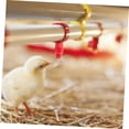 thumbnail image 5 of Bebedero automático para pollos, bebedero con tetina de agua para aves de corral, comederos, válvula de bola para beber pollo, estilo tornillo, 30 paquetes, 5 of 5