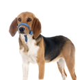 thumbnail image 1 of para Perros Ajustable Bebible Transpirable Hebilla Cubierta para La Boca Del Perro para El Aseo de Perros Agresivos Perros Pequeños, Me Azul Colores L Colco Bozal duradero, 1 of 7