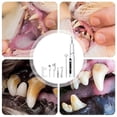 thumbnail image 3 of Ultrasonic Dog Teeth Cleaner - Safe, Effective, & Easy to Use for Better Oral Hygiene, 3 of 5