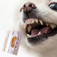 thumbnail image 5 of Pet Teeth Cleaning Pen - Freshens Breath, Whitens Teeth & Removes Plaque - Safe & Easy-to-Use Dental Care for Dogs & Cats - 5ml, 5 of 8