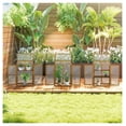 thumbnail image 2 of Wooden Cold Frame Greenhouse - Small Mini Planter Box, 30"x24"x44", Brown - Indoor Outdoor Plant Protector with Shelves, 2 of 9